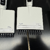 Sartorius Multichannel Pipettes - Quantity 9 image 2
